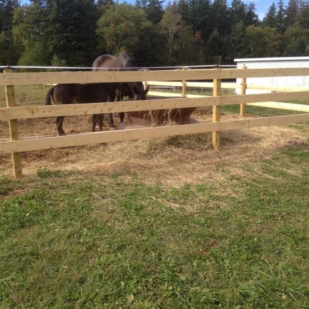 Permanent Wood Fence